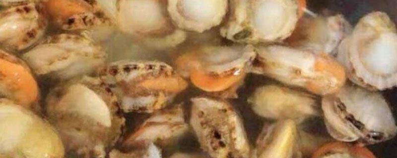 清水煮扇貝用冷水嗎 開水煮扇貝還是冷水煮 1