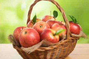 蛇果是蘋果嗎? 蛇果和蘋果區(qū)別口感哪個好