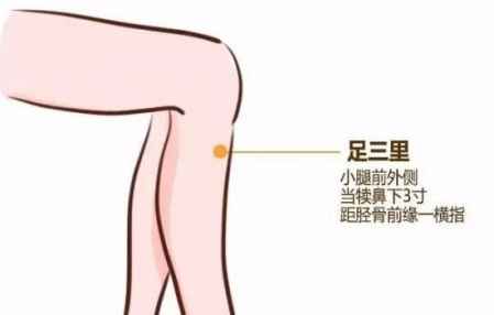 膝蓋疼拔罐拔哪里圖解 不同穴位的效果 4