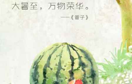 小暑大暑什么意思? 大暑在小暑前還是后 4