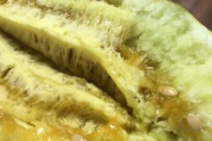甜瓜的籽兒能不能吃