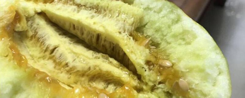 甜瓜的籽兒能不能吃 1