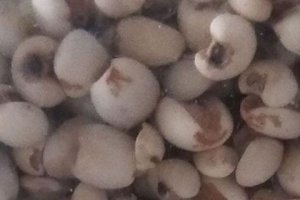 甜杏仁和苦杏仁的區別 杏仁有清火的作用