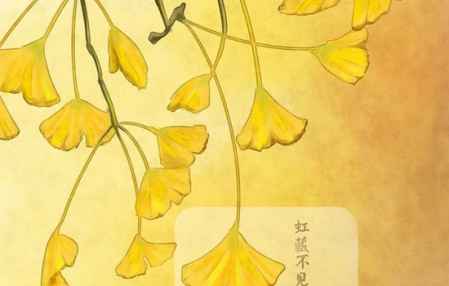 小雪的民間諺語 小雪節(jié)氣的諺語歌謠 1