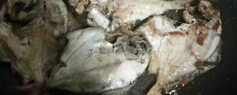 黃金帶魚和普通帶魚有什么區(qū)別嗎 1