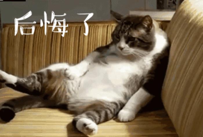 我后悔了的表情圖 后悔的搞笑動圖表情包 5