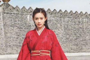 孟子義是干嘛的 孟子義是哪里的
