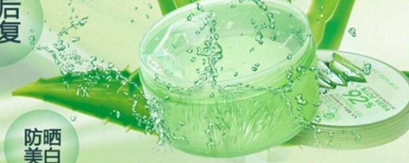 蘆薈膠有什么效果 3