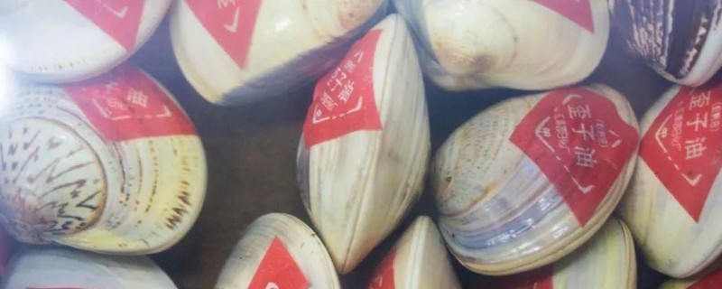 蛤蜊油可以擦臉嗎 蛤蜊油擦臉的作用 2