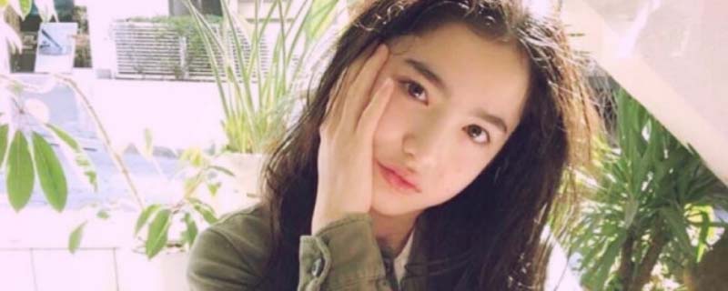 什么叫粉調(diào)什么叫黃調(diào) 3