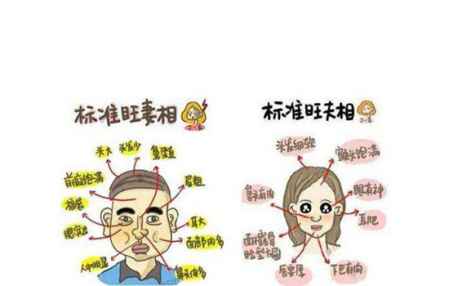 顴骨高的女人是不是命苦 顴骨高旺夫嗎 3