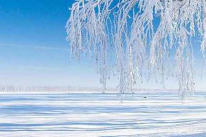 大雪節(jié)氣祝福語(yǔ)大全簡(jiǎn)短 幸福快樂(lè)一起跑過(guò)來(lái)