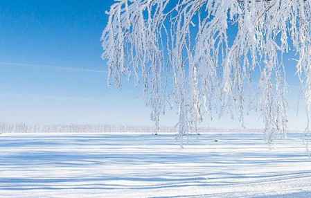 大雪節氣祝福語大全簡短 幸福快樂一起跑過來 1