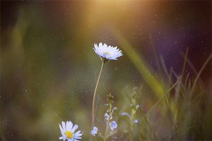 孩子總念叨死去的老人 一直念叨死去的人好不好