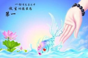 放生什么時候放生最好 放生啥時間好