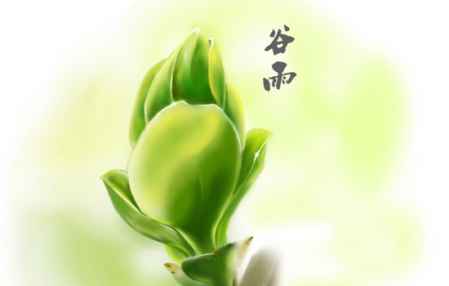 谷雨是什么意思含義 關(guān)于谷雨的諺語(yǔ) 5