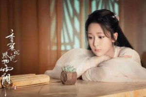 楊紫演的沉香如屑什么時候上映