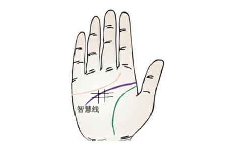 智慧線上有井字紋代表什么 井字紋手相圖解 2
