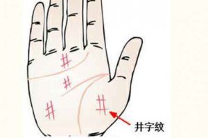 智慧線上有井字紋代表什么 井字紋手相圖解