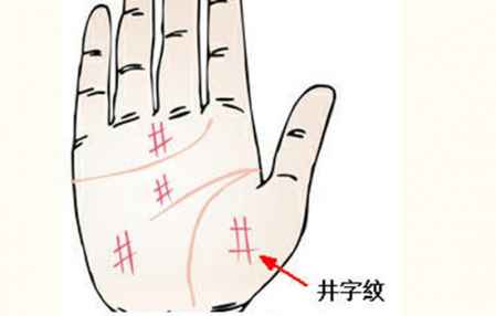 智慧線上有井字紋代表什么 井字紋手相圖解 1