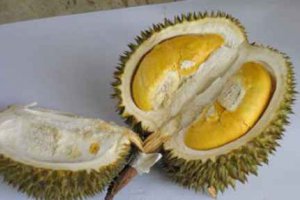 沒熟的榴蓮打開了能吃嗎 怎么買優(yōu)質(zhì)且熟了的榴蓮