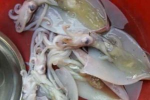 魷魚膏是什么 魷魚肚子黃東西能吃嗎