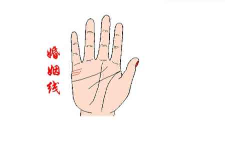 什么樣的手相是離婚手相 這樣的容易發生婚變 1