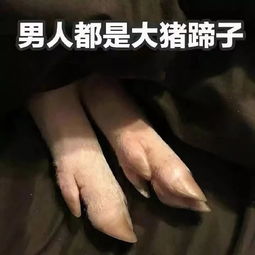 為什么叫男人大豬蹄子什么意思 大豬蹄子的由來(lái) 8