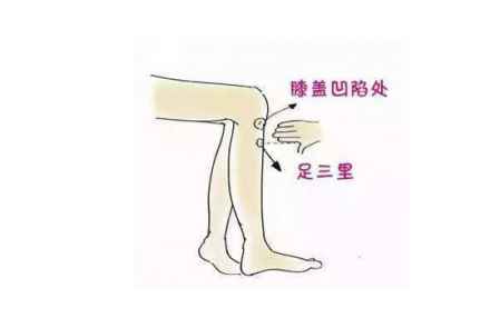 艾灸哪個位置去濕氣 想除濕氣艾灸哪個位置 2