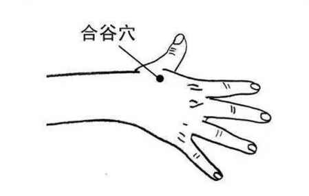 艾灸哪個位置去濕氣 想除濕氣艾灸哪個位置 1