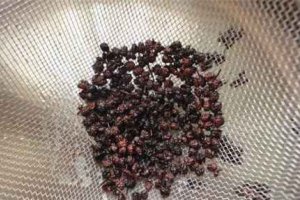 花椒殼卡喉嚨里怎么辦 花椒殼卡在喉嚨妙招