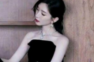 女士法則講的什么 女士法則女性勵(lì)志電視劇