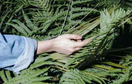 人的手相生命線短壽命就短嗎 生命線短危險信號判斷 1