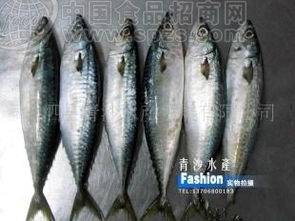 冷凍青占魚有毒嗎 冷凍青占魚怎么燒沒毒 2