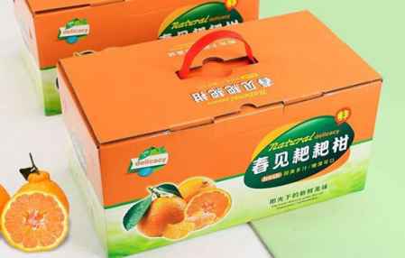 春見耙耙柑好吃不 春見耙耙柑營養價值 2