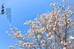 關于立春的古詩全部 立春的古詩詞精選