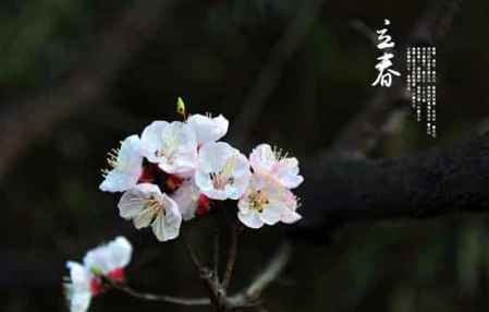 關(guān)于立春的古詩全部 立春的古詩詞精選 2