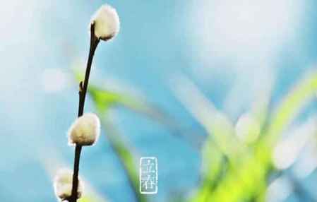 關(guān)于立春的古詩全部 立春的古詩詞精選 5