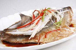 海狼魚肉好吃嗎 海狼魚營養(yǎng)價值 3