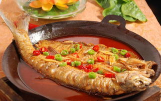 海狼魚肉好吃嗎 海狼魚營養(yǎng)價值 1