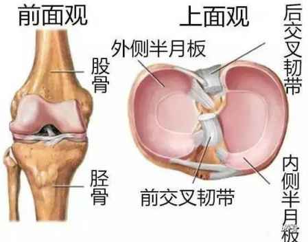 膝關(guān)節(jié)炎的癥狀有哪些 疼痛難忍只有自己知道 2