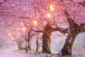 中元節(jié)是日本的傳統(tǒng)節(jié)日嗎 日本中元節(jié)和中國(guó)中元節(jié)區(qū)別