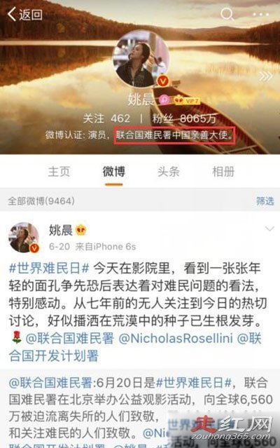 惡之花姚晨是什么梗 惡之花事件的出處 2