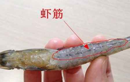 蝦腹部的黑線要去掉嗎?蝦腹部黑線是什么？ 2