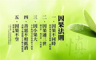 佛講愛哭人的前世因果 聽佛歌會哭的人業(yè)障深 4