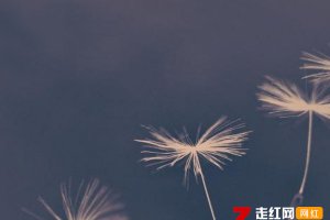 雪消春水流花開滿枝頭求歌名