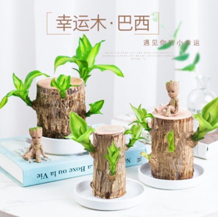 送禮物給男人送什么 這些禮物最難忘 6